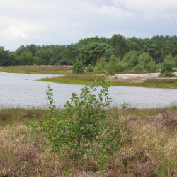 Bergvennen in de zomer