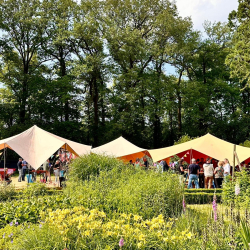 Feest De Horte