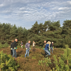 Natuurwerkdag 2017