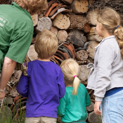 Insectenhotel met kinderen - Tamara Raijer