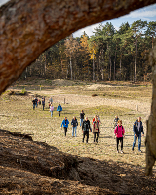GS_ loop voor landschap 2025-61-Gonny Sleurink