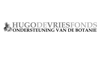 hugo