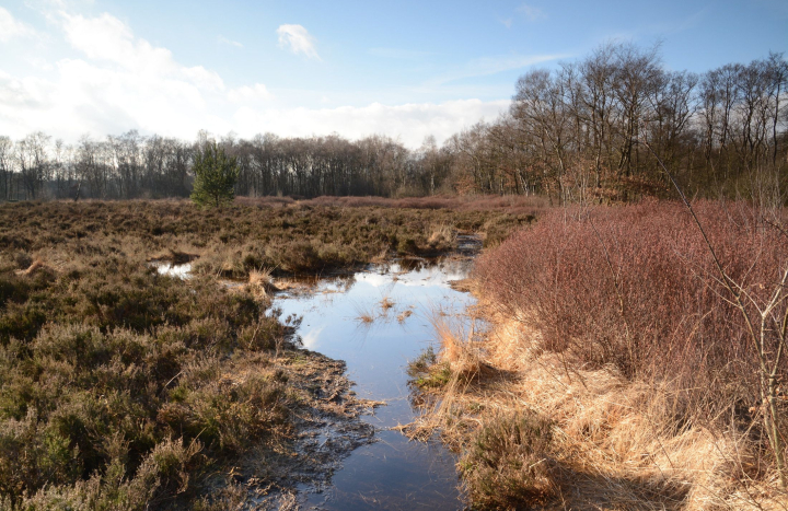 Kersdijk Enschede