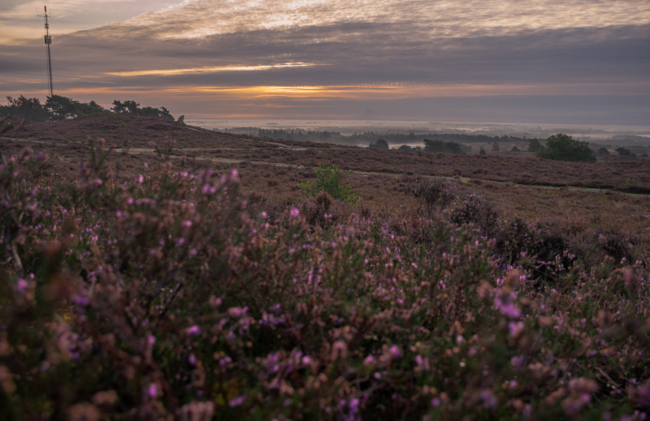 LO169871600 Lemelerberg