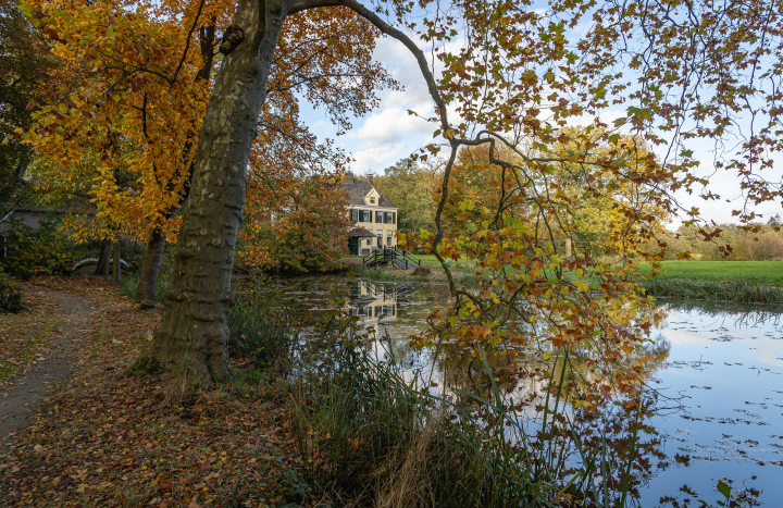 GS, de Horte, herfst-8
