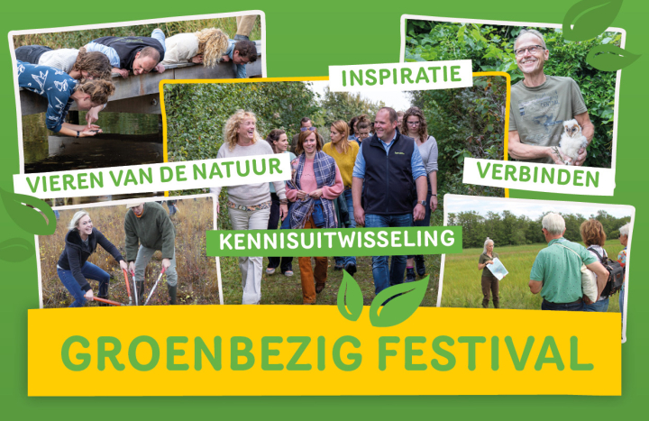 Groenbezig festival