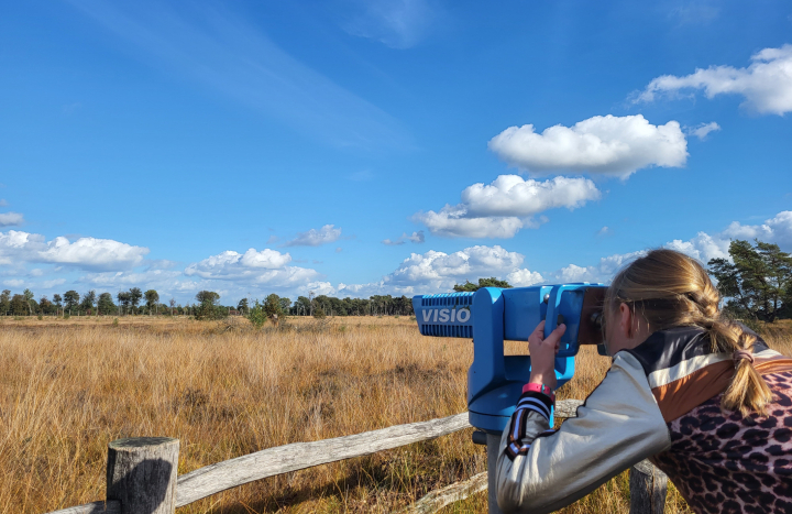 Boetelerveld
