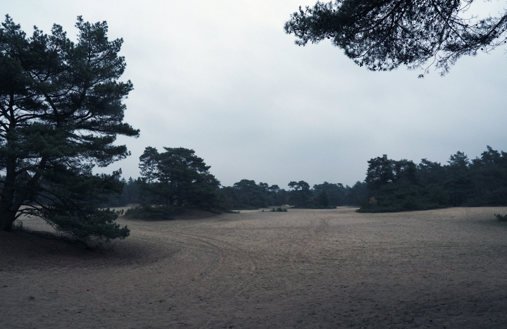 Stuifzand Sahara