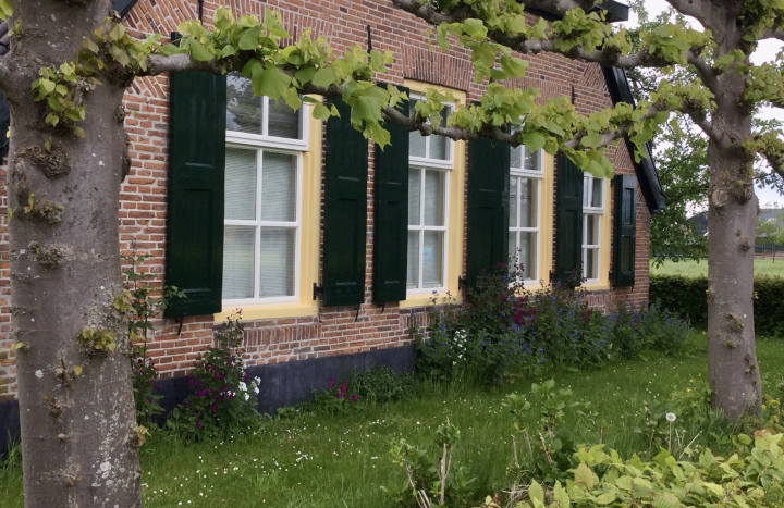 De achtertuin van Marion Baars (2)