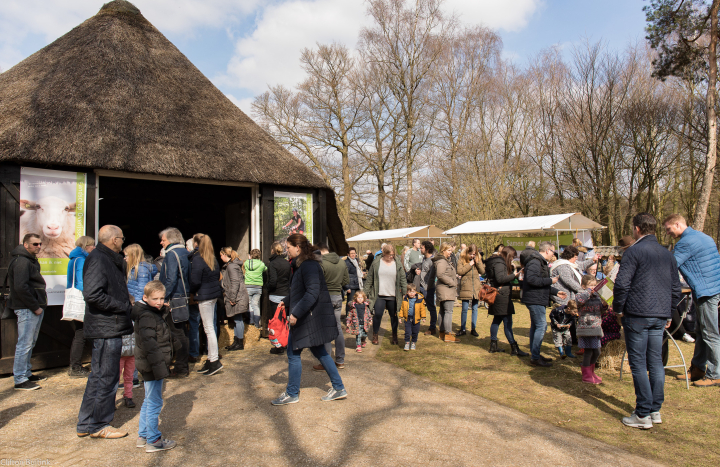 Lammetjesdag Schaapskooi Lemelerberg