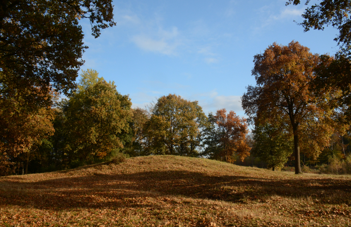 Manderheide, grafheuvel