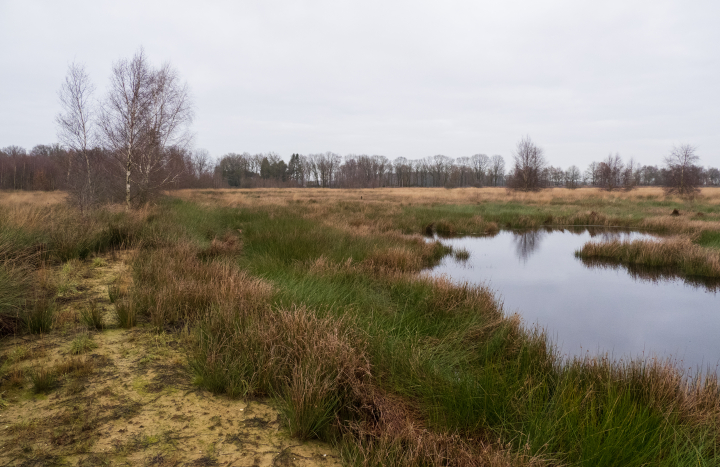 Het foliescherm is boven de grond afgewerkt met een walletje van leem