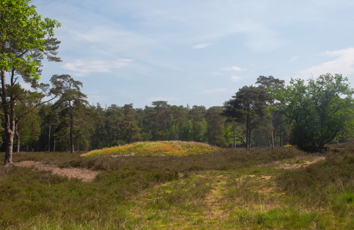 grafheuvel en middeleeuws karrenspoor, Annie Keizer