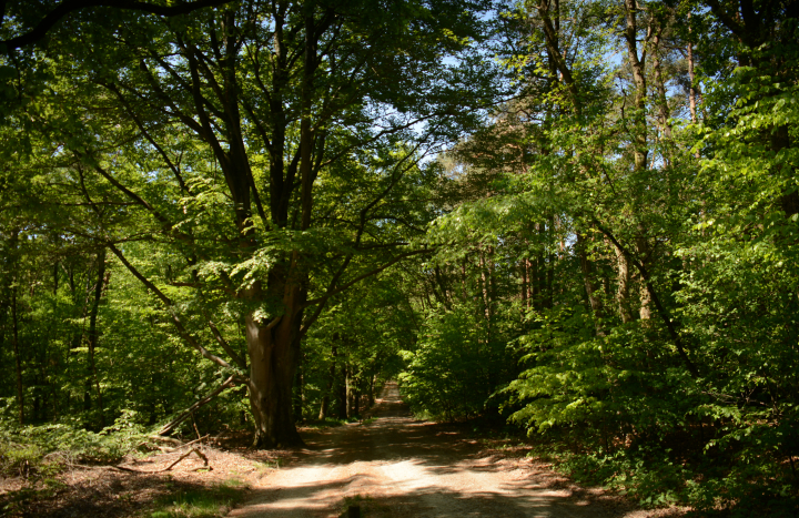 Dal van de Mosbeek