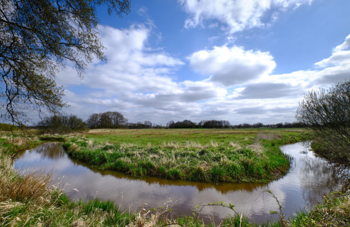 De Reest, Shutterstock