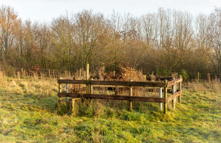 Meetpunt in Collendoorn