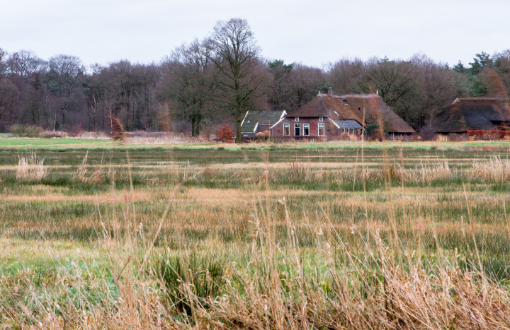 Oud Avereest