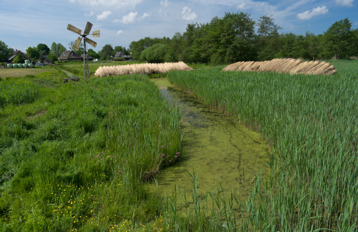 Weerribben bij Kalenberg, laagveen