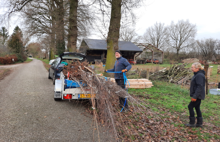 Boomdeeldag Rijssen-Holten