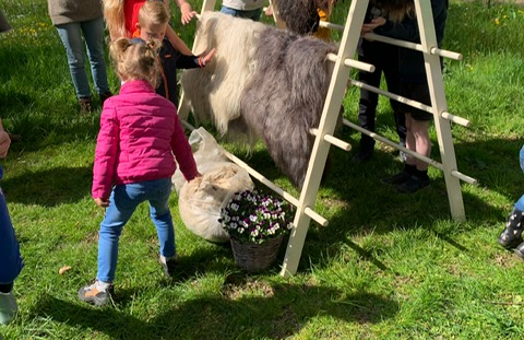 Snuffelen lente, Moniek (2)