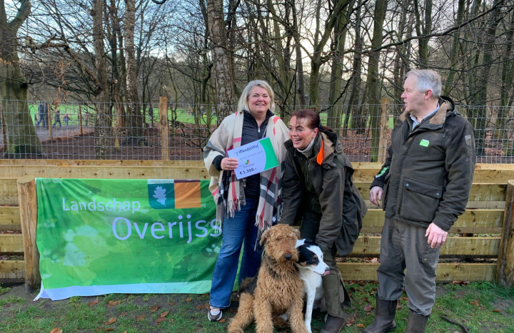 donatie wandelwol
