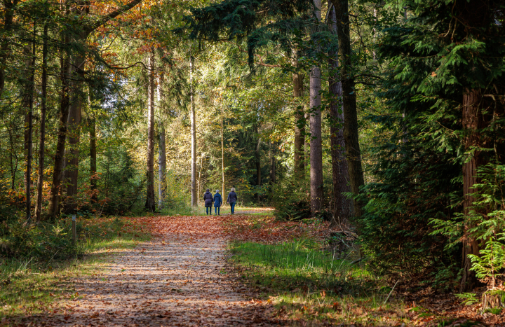 De herfst is begonnen