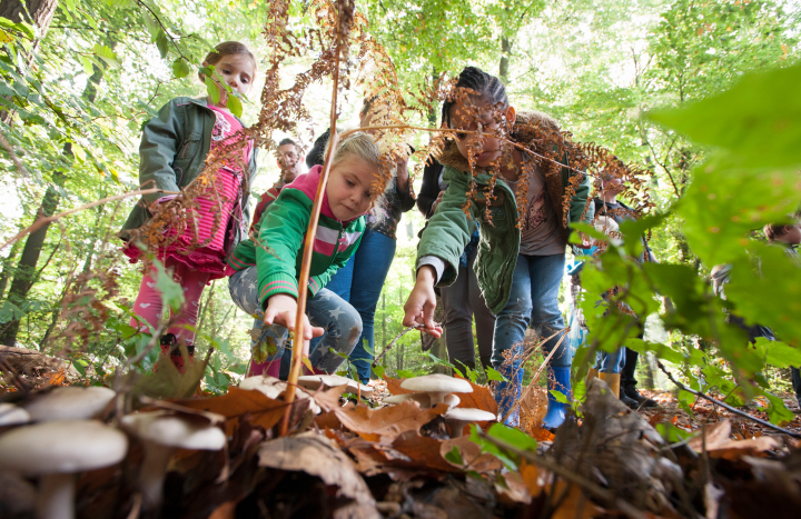 Kinderen op zoek naar materialen