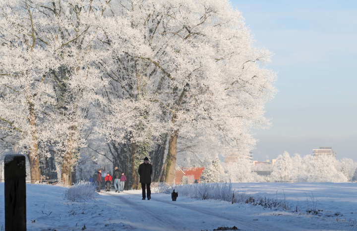 LO21587-Maarten van Geelen