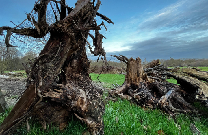 WhatsApp Image 2025-12-18 at 16.59.46