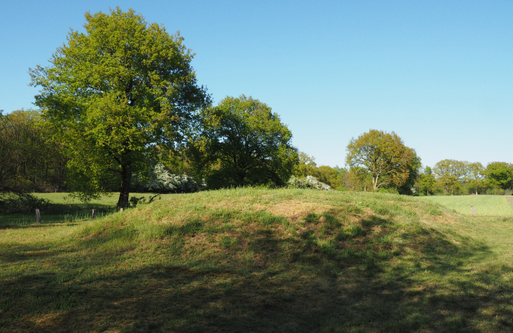 Manderheide, Nico Kloek (5)