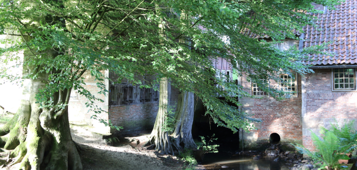 Watermolen van Bels, Marco Gerritsen