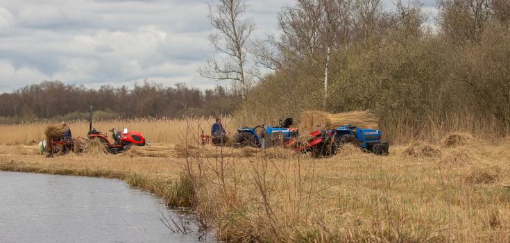 Rietsnijden in de Wieden, Annie Keizer