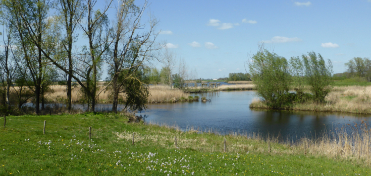 Zwolle, Zwartewater, Chantal Wachtmeester