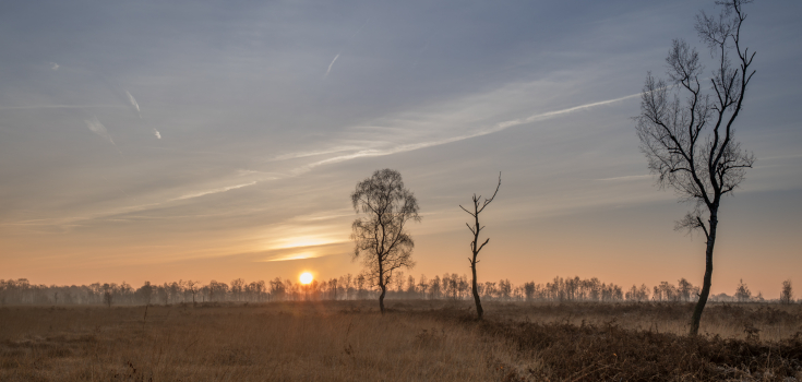 Aamsveen 
