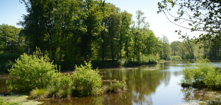 Dal van de Mosbeek