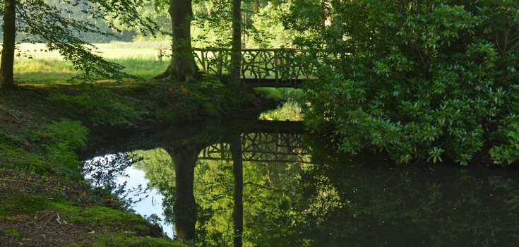 Doiepenveen, Nico Kloek