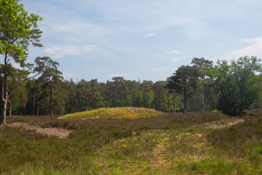 grafheuvel en middeleeuws karrenspoor, Annie Keizer