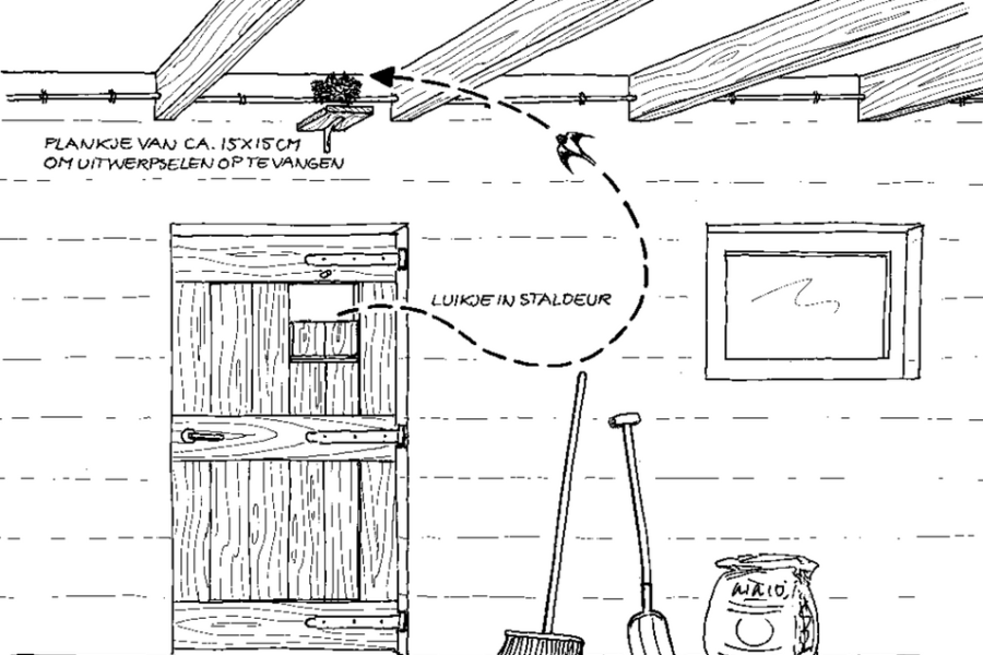 boerenzwaluw erfscan2