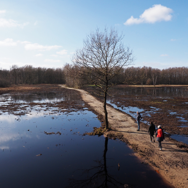hoog water 