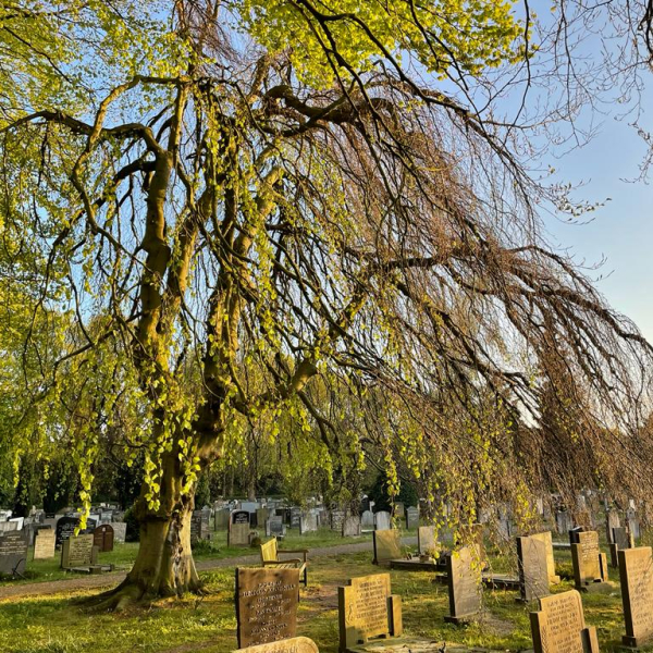 Treurbeuk, begraafplaats Bergklooster