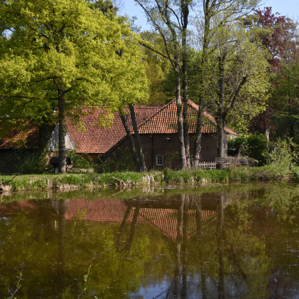 Molen van Frans