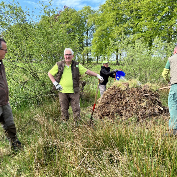 NWG de Horte Broeihoop ringslang