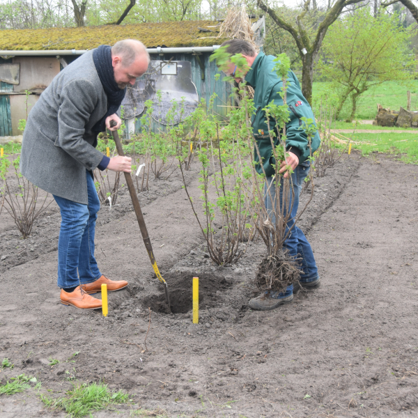 Planten