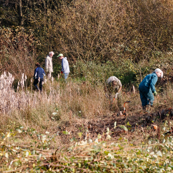 Natuurwerkdag aan de slag in het Aamsveen